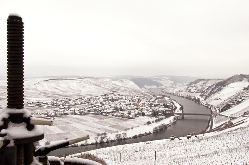 Weingut & Gaestehaus Edwin Hoffmann 特里特海姆 外观 照片