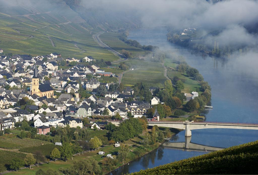Weingut & Gaestehaus Edwin Hoffmann 特里特海姆 外观 照片