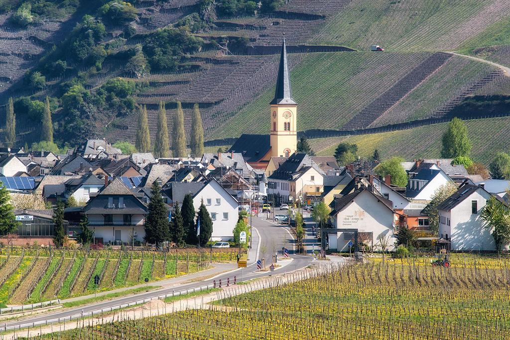 Weingut & Gaestehaus Edwin Hoffmann 特里特海姆 外观 照片