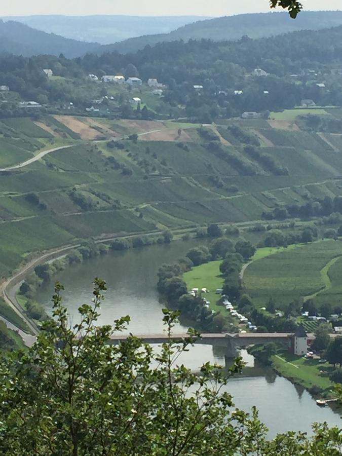 Weingut & Gaestehaus Edwin Hoffmann 特里特海姆 外观 照片