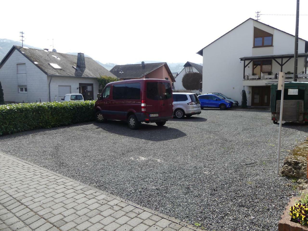 Weingut & Gaestehaus Edwin Hoffmann 特里特海姆 外观 照片